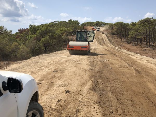 Cost of Driveway Grading in Fresno