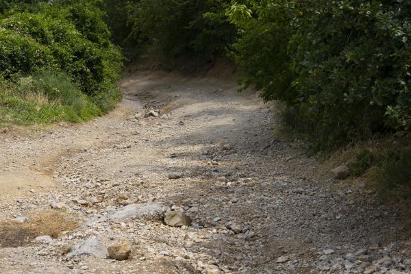 Cost of Gravel Road Pothole Repair in Fresno