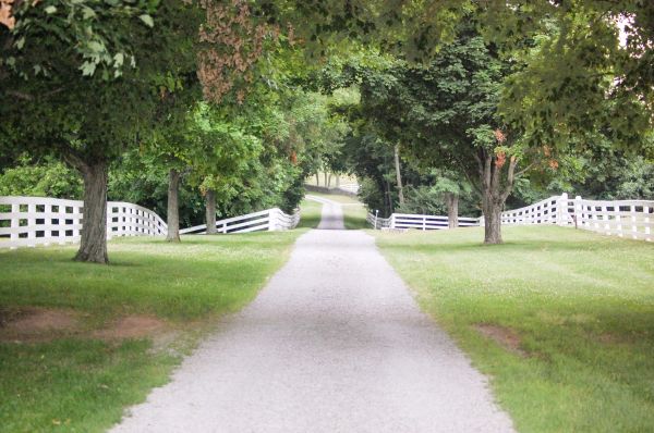 Cost of Gravel Road Installation in Fresno