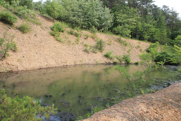 Cost of Pond Erosion Repair in Fresno
