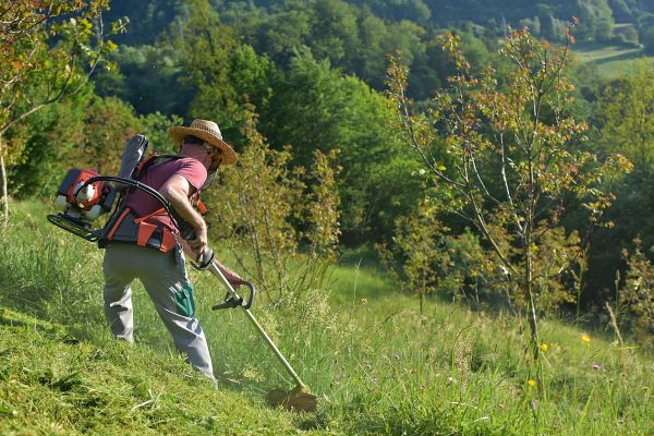 Cost of Slope Trimming in Fresno